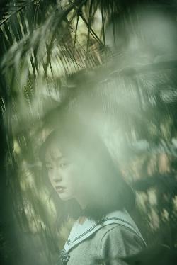 荣华令电视剧免费观看全部播放