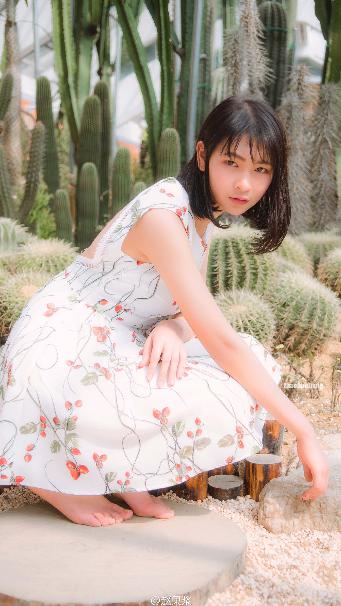 安家电视剧全集免费观看