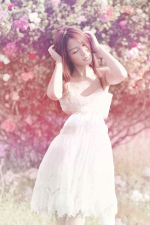 巡回检察组免费观看全集完整版